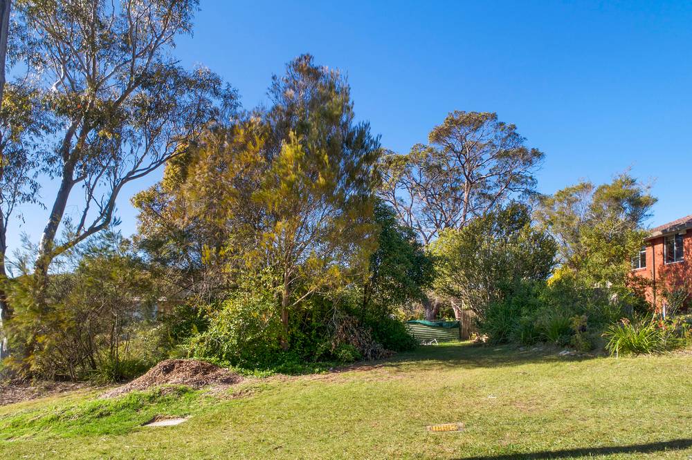 19 Douglas Street, FAULCONBRIDGE, NSW 2776