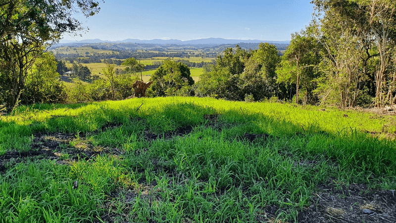 48 Lincoln Avenue, Mcleans Ridges, NSW 2480