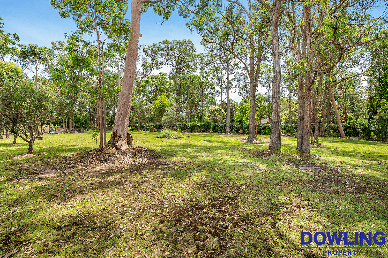 6 Lewis Drive, MEDOWIE, NSW 2318