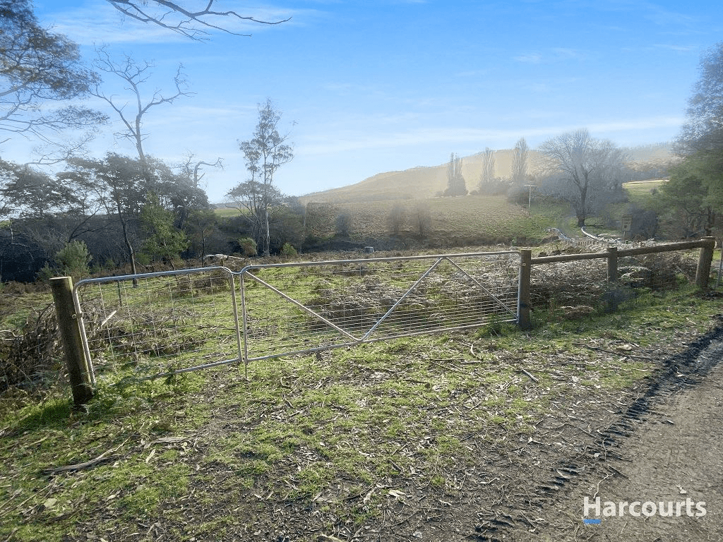 Lot 1 Gardiners Creek Road, ST MARYS, TAS 7215