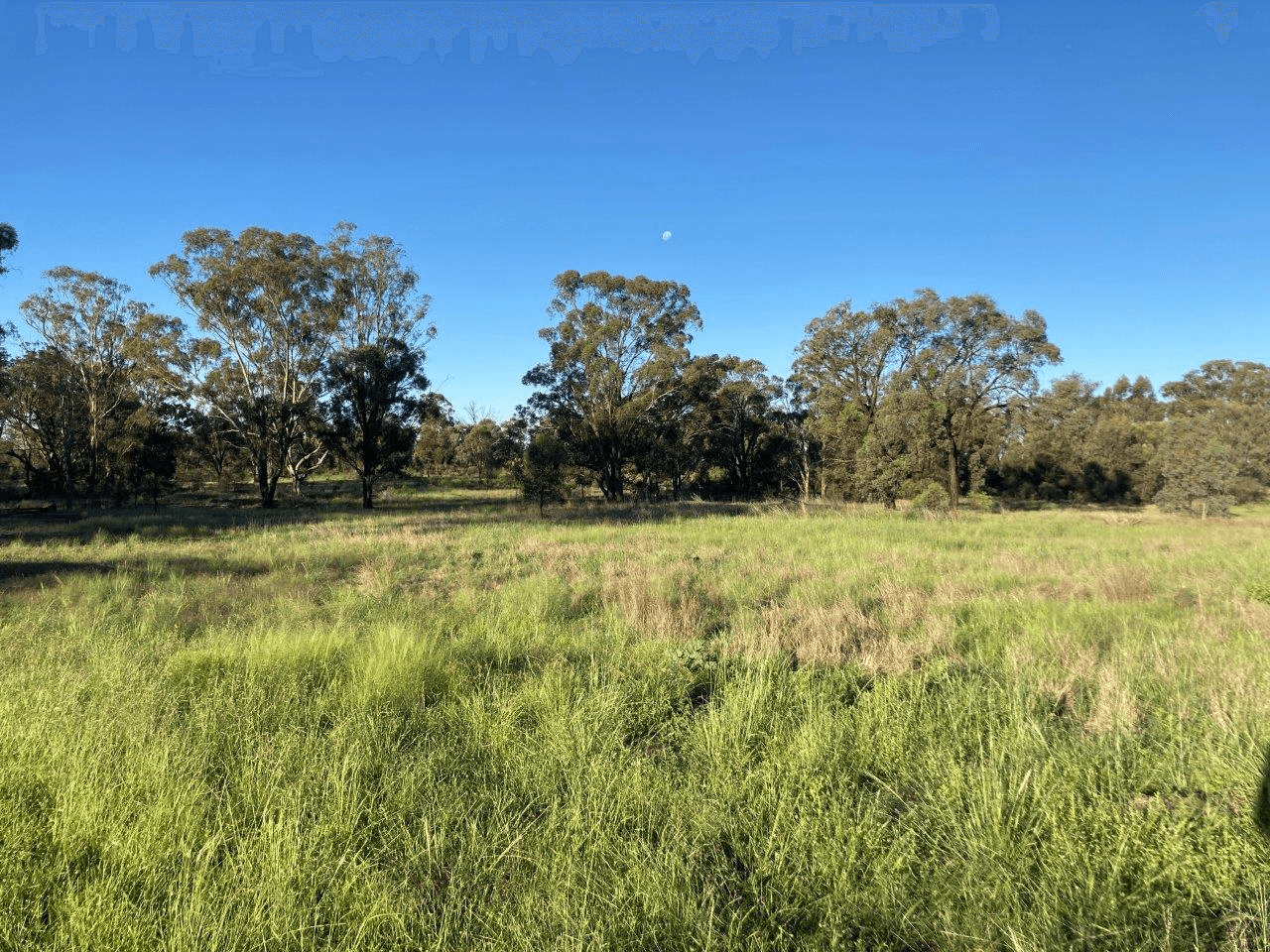 128R Minore Road, MINORE, NSW 2830