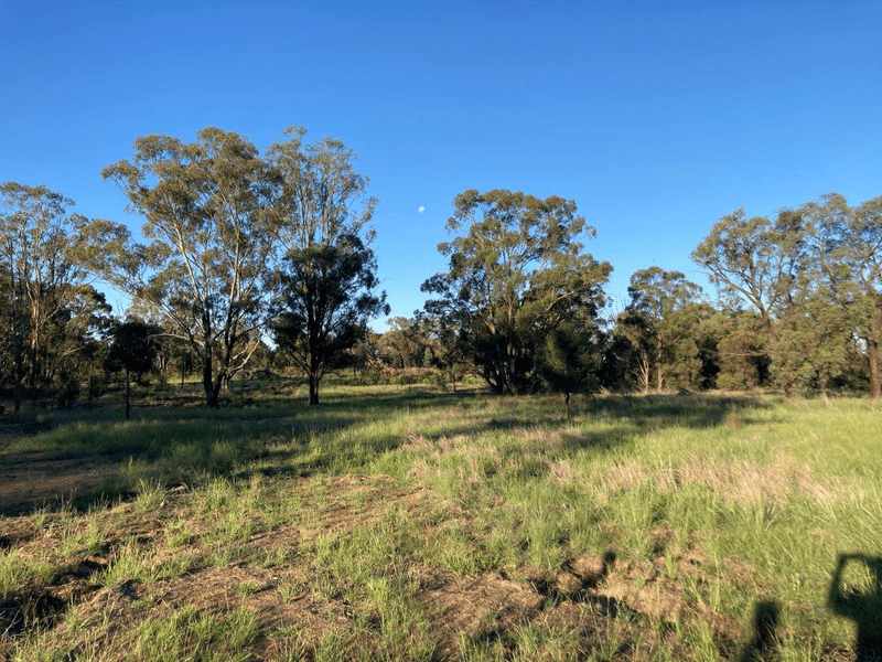 128R Minore Road, MINORE, NSW 2830