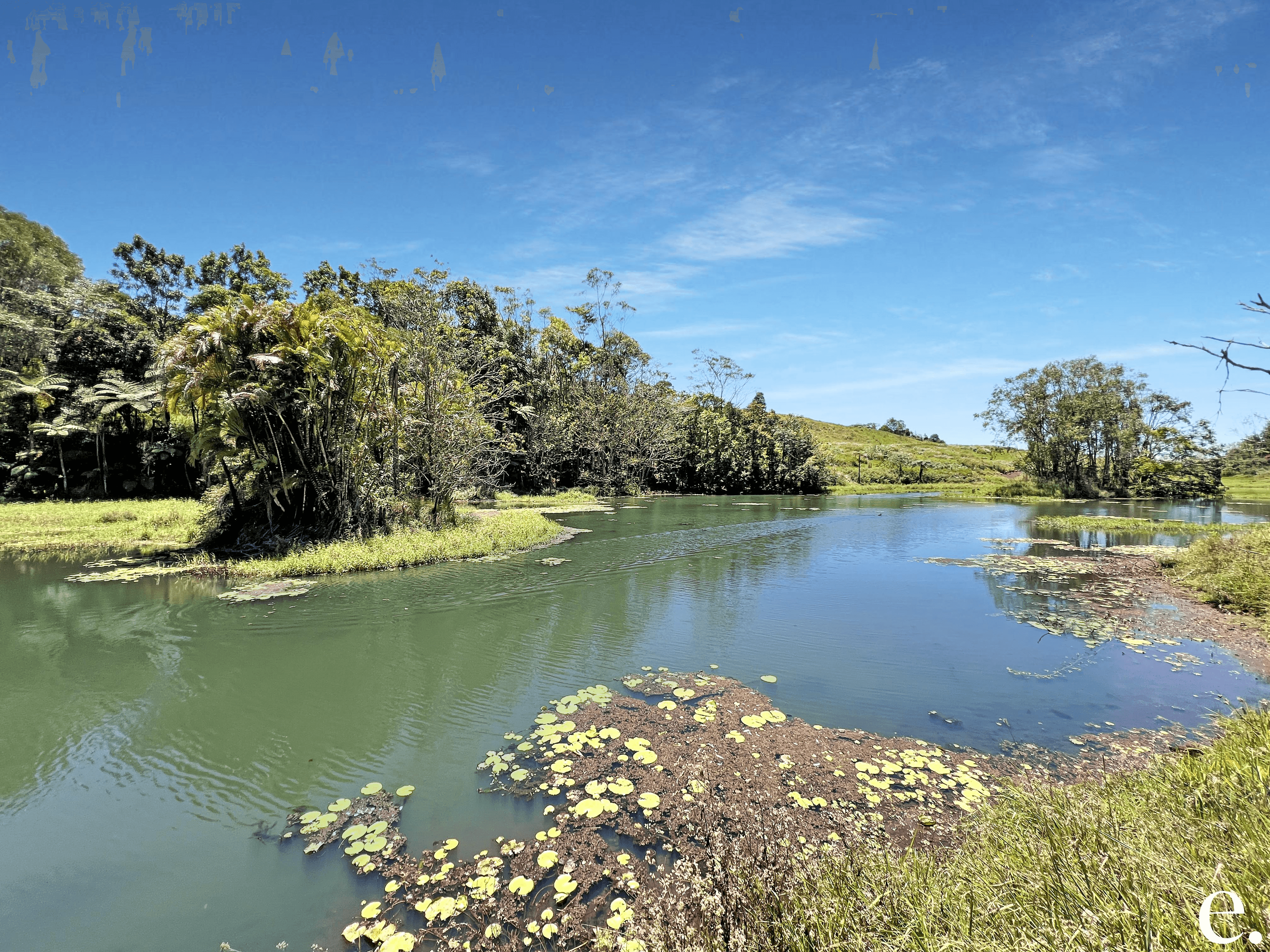 614 Kenny Road, TARZALI, QLD 4885