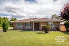 19 Potter Parade, GLEN INNES, NSW 2370