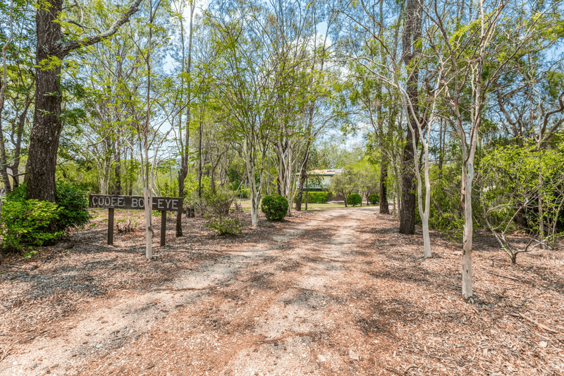 12 BOX STREET, YAMANTO, QLD 4305