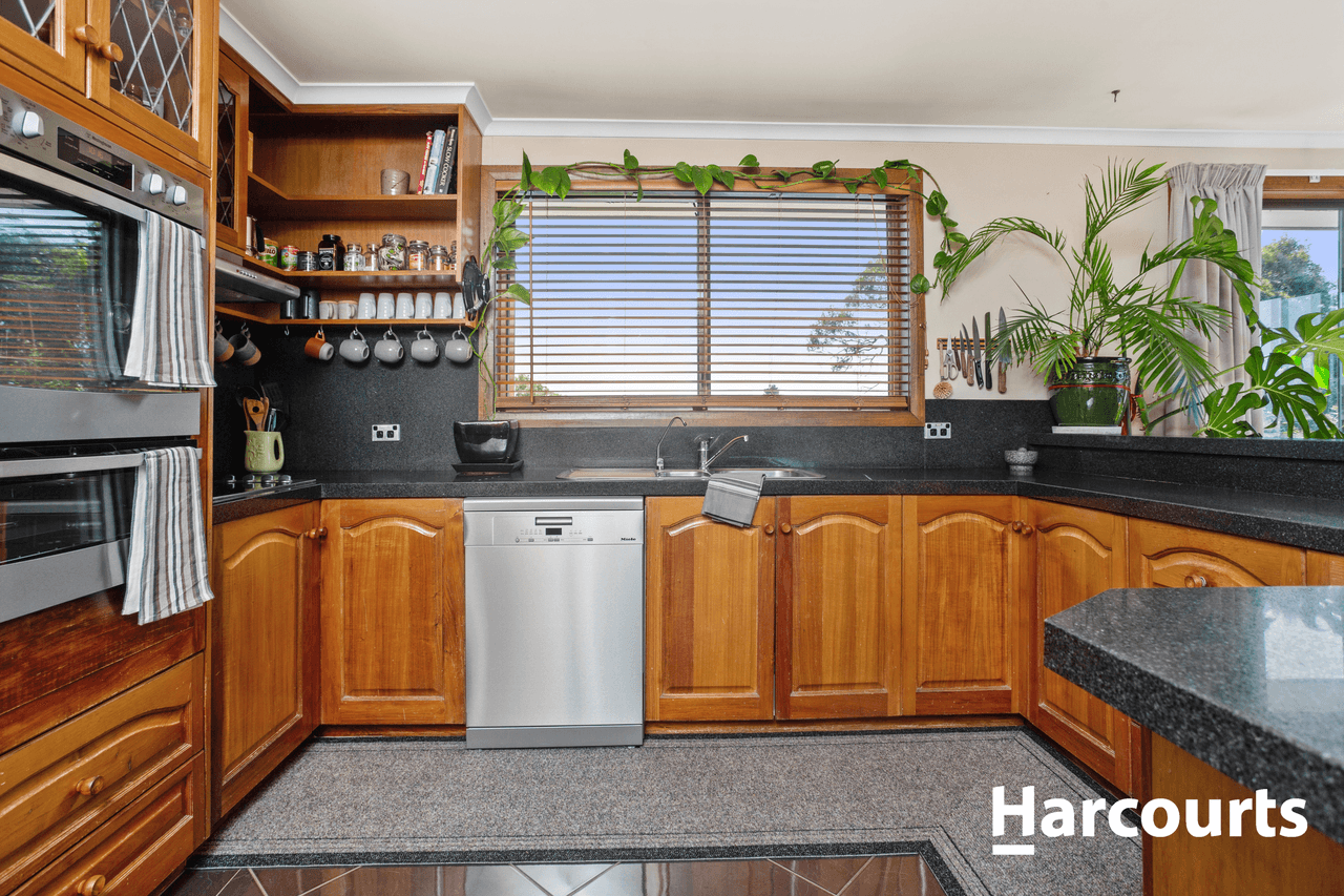 3 Panorama Place, DELORAINE, TAS 7304