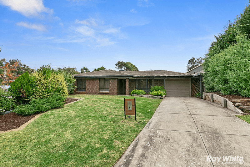 20 Brandt Street, FLAGSTAFF HILL, SA 5159