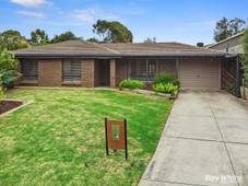 20 Brandt Street, FLAGSTAFF HILL, SA 5159