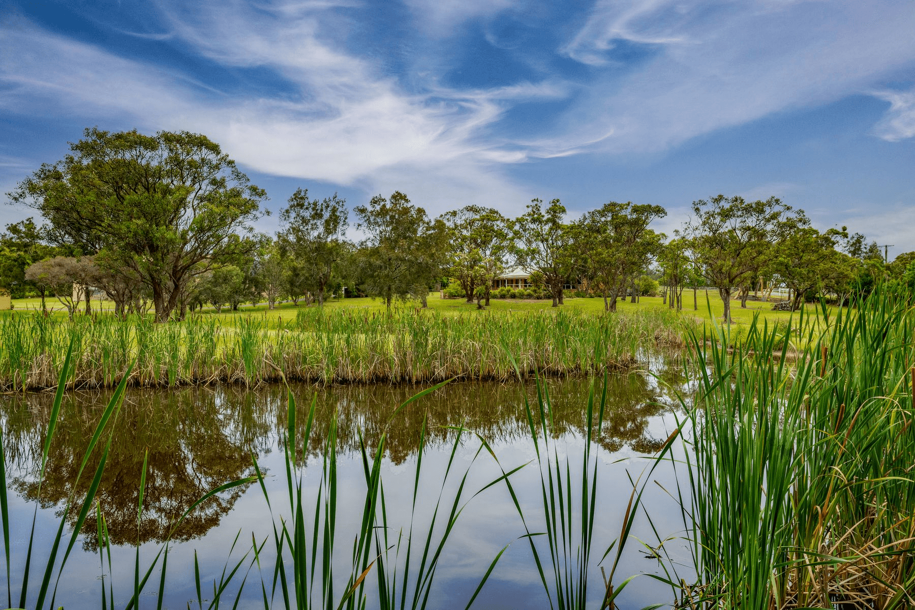 137 Bakali Road, Forresters Beach, NSW 2260