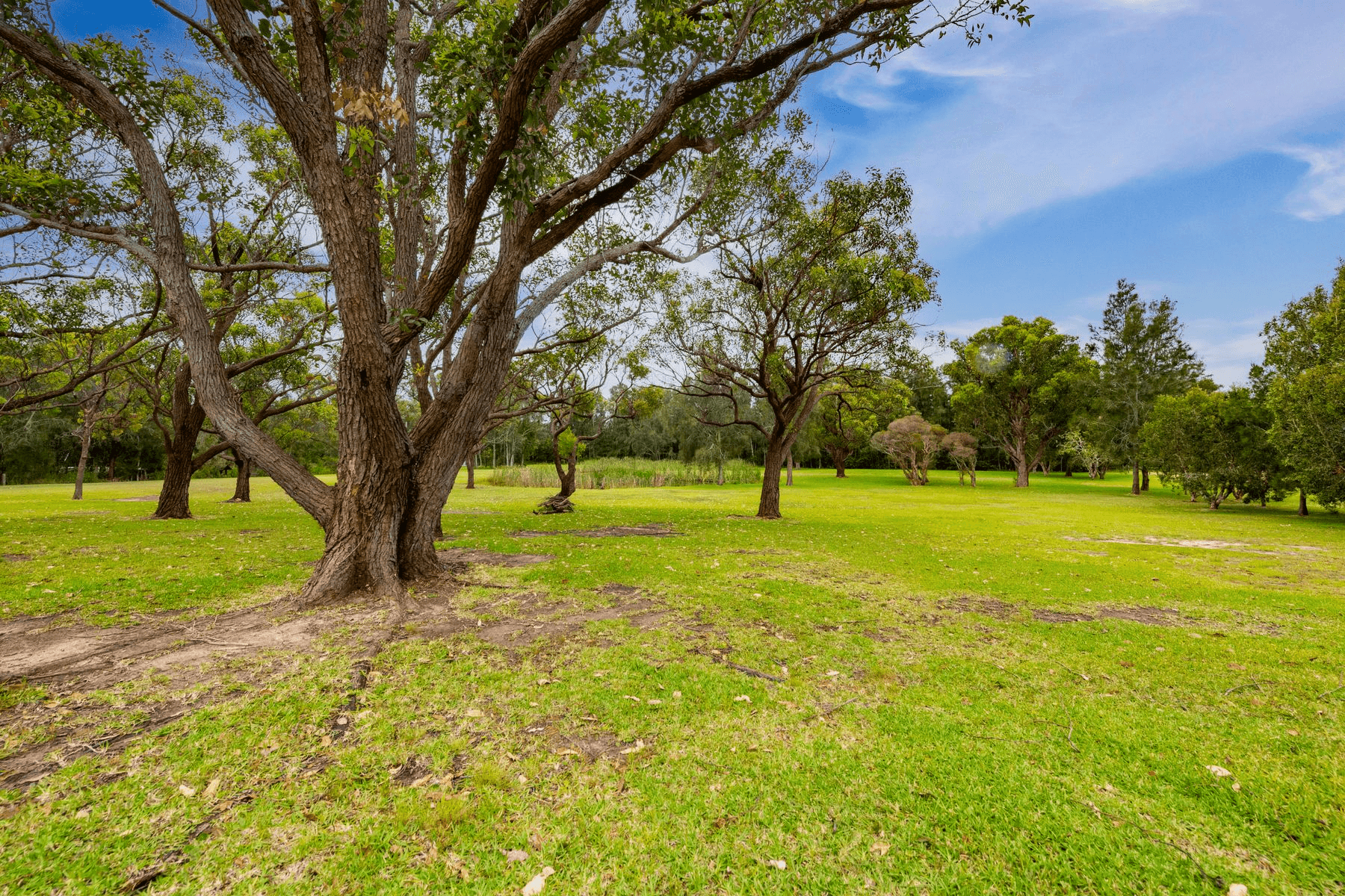 137 Bakali Road, Forresters Beach, NSW 2260