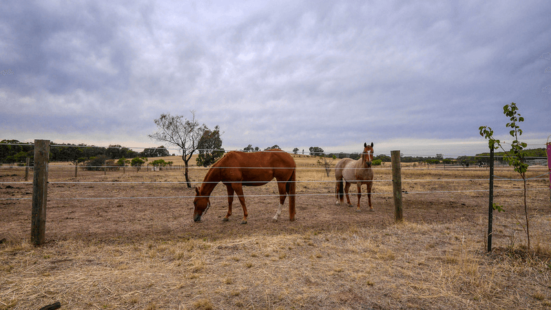 3274 Heathcote-Nagambie Road, Mitchellstown via Road, NAGAMBIE, VIC 3608