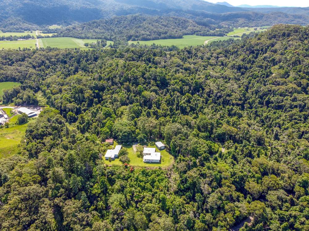 168 & 170 Syndicate Road, Miallo, MOSSMAN, QLD 4873