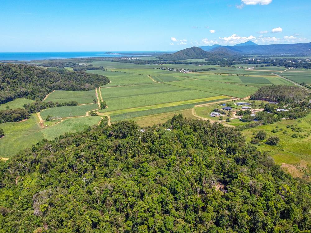 168 & 170 Syndicate Road, Miallo, MOSSMAN, QLD 4873