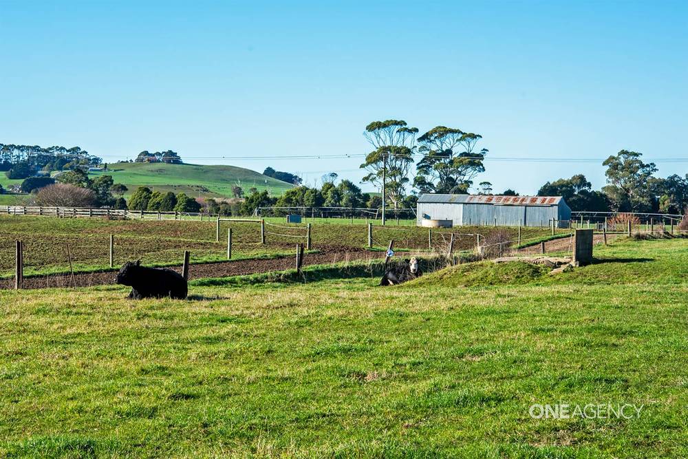 276 Gates Road, Flowerdale, TAS 7325
