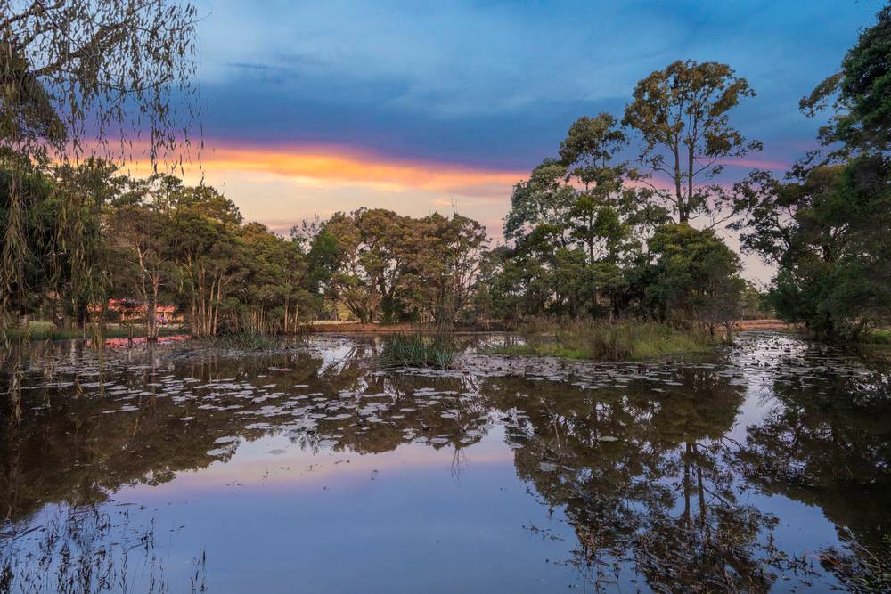 72 Shelleys Lane, Thirlmere, NSW 2572