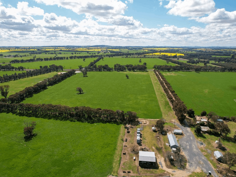 1167 Walbundrie Road, CULCAIRN, NSW 2660