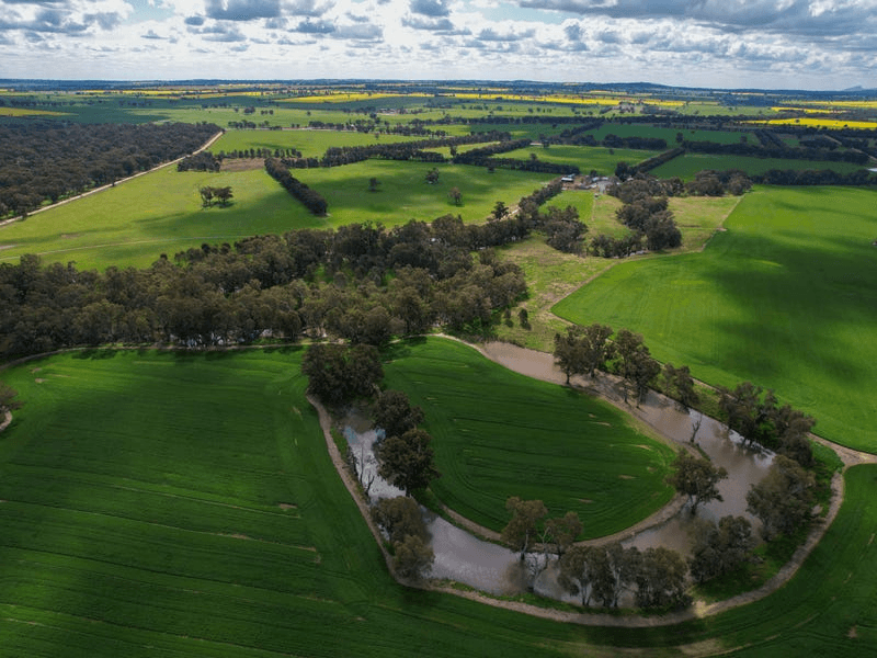 1167 Walbundrie Road, CULCAIRN, NSW 2660