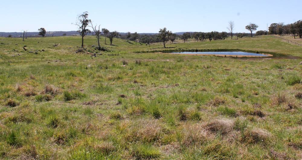 376 Kingstown Road, URALLA, NSW 2358