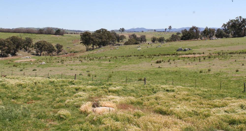 376 Kingstown Road, URALLA, NSW 2358