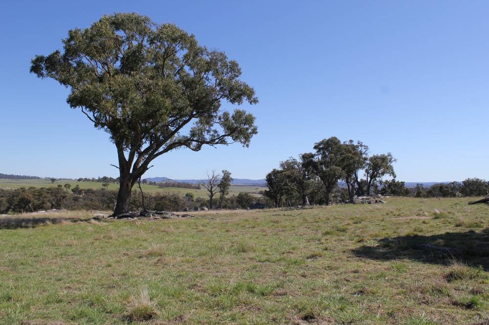 376 Kingstown Road, URALLA, NSW 2358