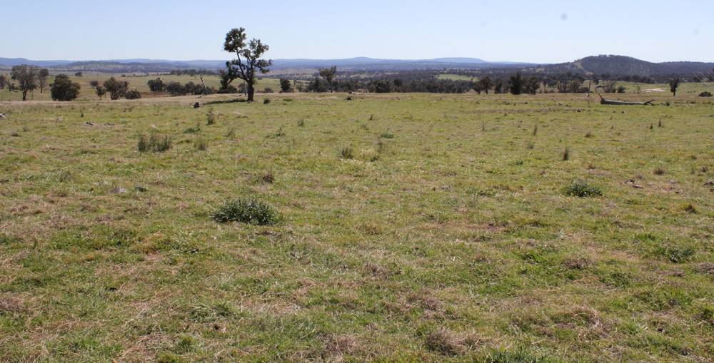 376 Kingstown Road, URALLA, NSW 2358