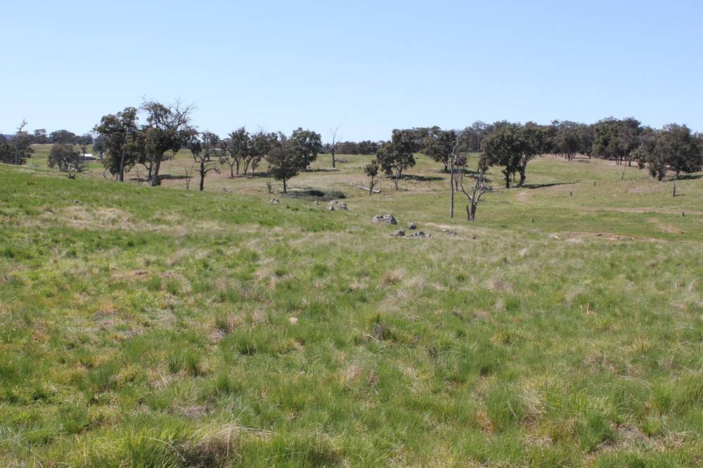 376 Kingstown Road, URALLA, NSW 2358