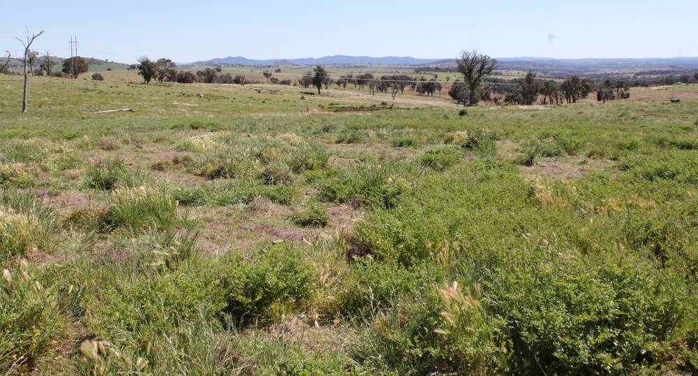 376 Kingstown Road, URALLA, NSW 2358