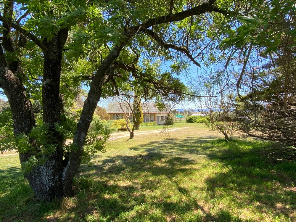 376 Kingstown Road, URALLA, NSW 2358