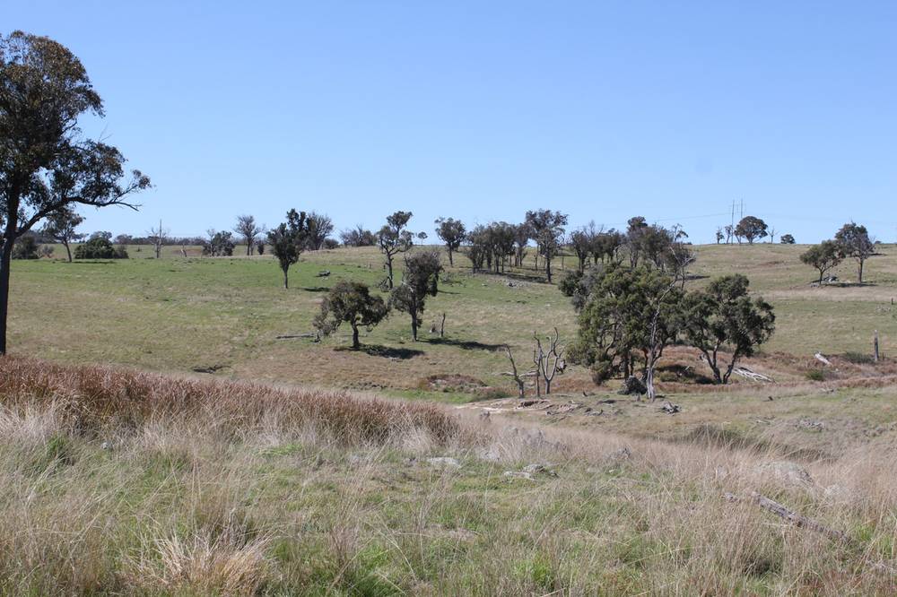 376 Kingstown Road, URALLA, NSW 2358