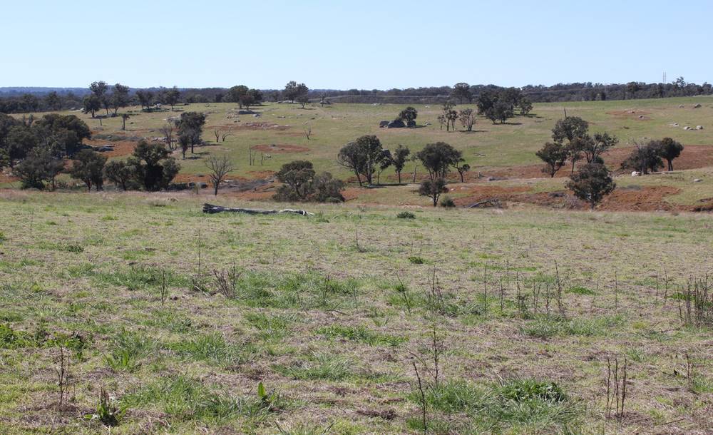 376 Kingstown Road, URALLA, NSW 2358
