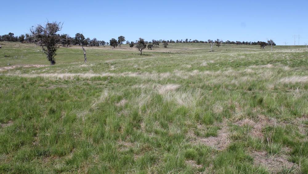 376 Kingstown Road, URALLA, NSW 2358