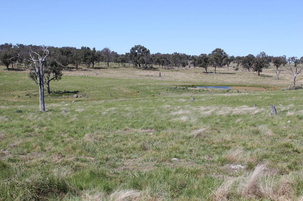 376 Kingstown Road, URALLA, NSW 2358