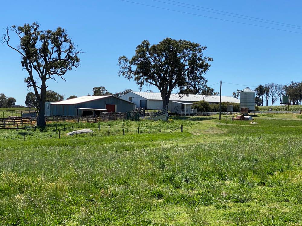 376 Kingstown Road, URALLA, NSW 2358