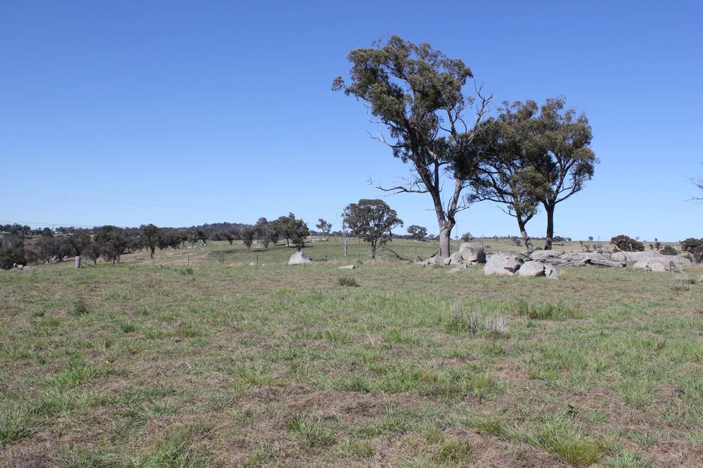 376 Kingstown Road, URALLA, NSW 2358