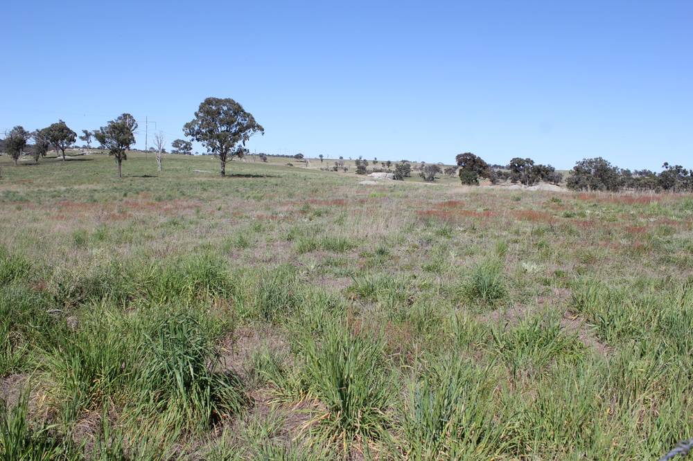 376 Kingstown Road, URALLA, NSW 2358