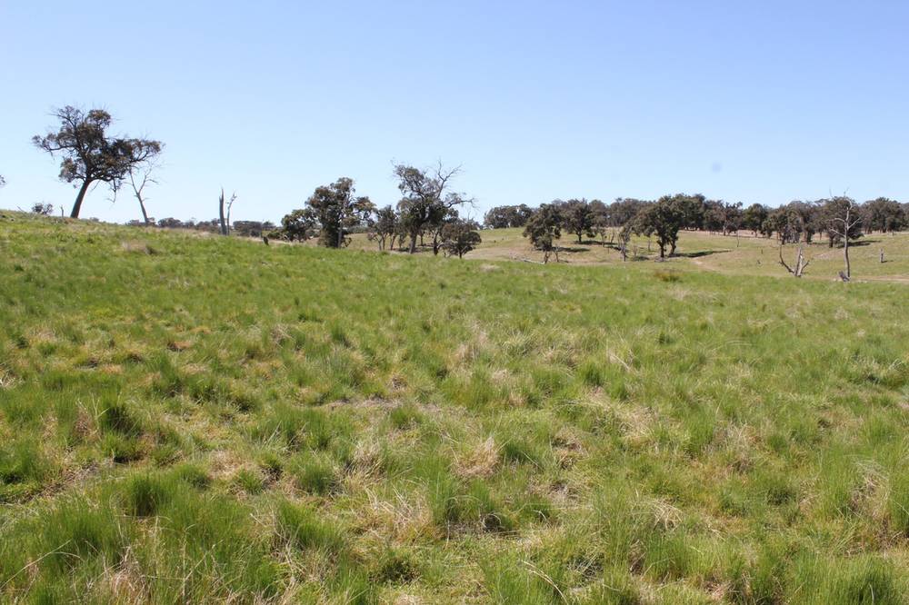 376 Kingstown Road, URALLA, NSW 2358
