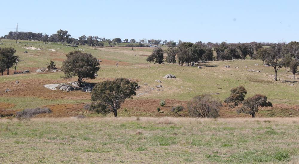 376 Kingstown Road, URALLA, NSW 2358