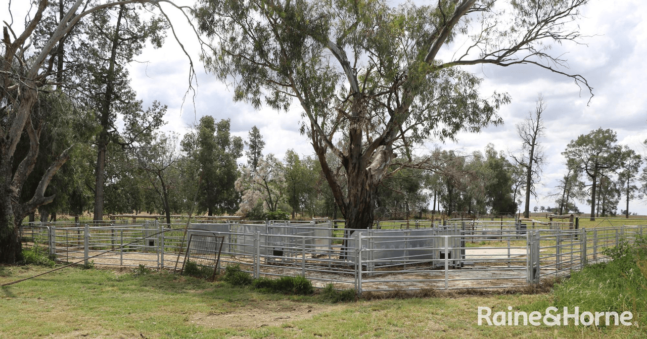 155 Riverview Lane, PARKES, NSW 2870