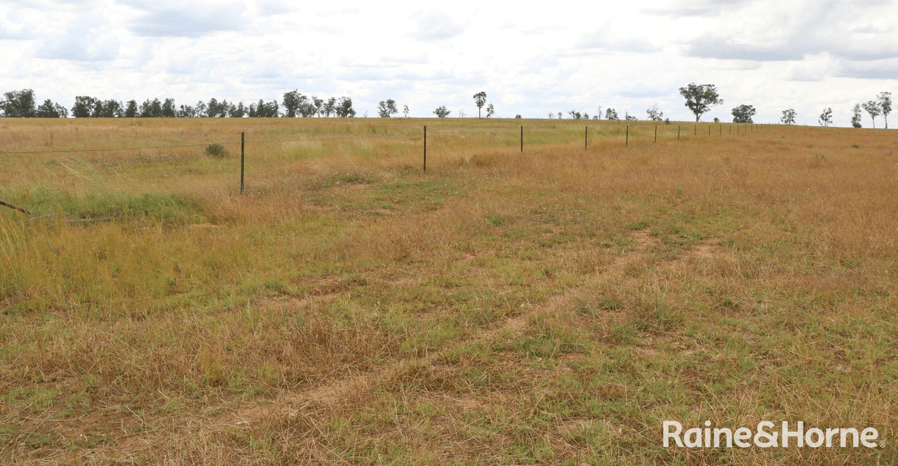 155 Riverview Lane, PARKES, NSW 2870