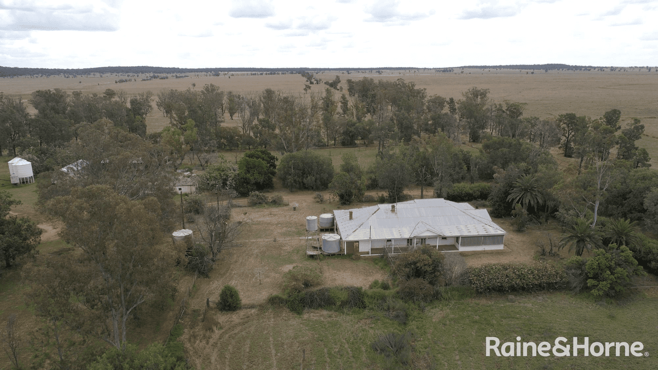 155 Riverview Lane, PARKES, NSW 2870