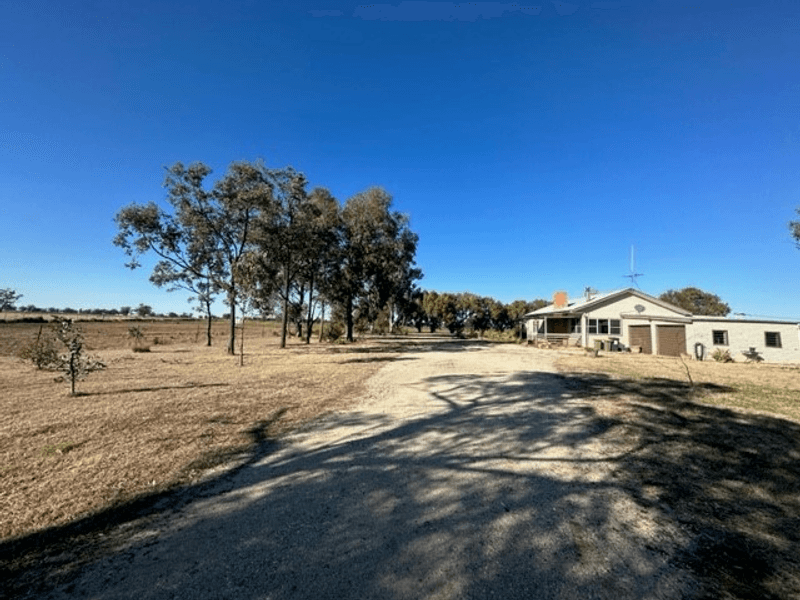 1117 Blue Vale Rd, Blue Vale, NSW 2380