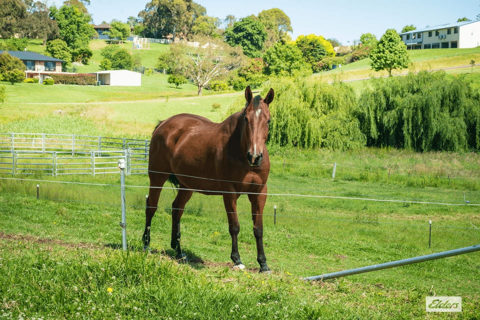 98 East Street, Bega, NSW 2550