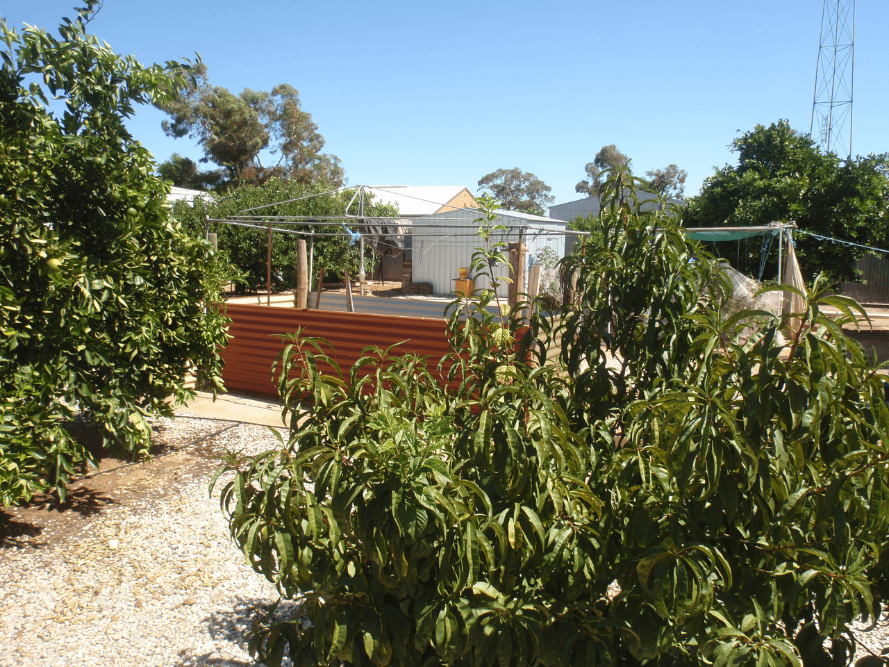 42 Medley Terrace, WUDINNA, SA 5652