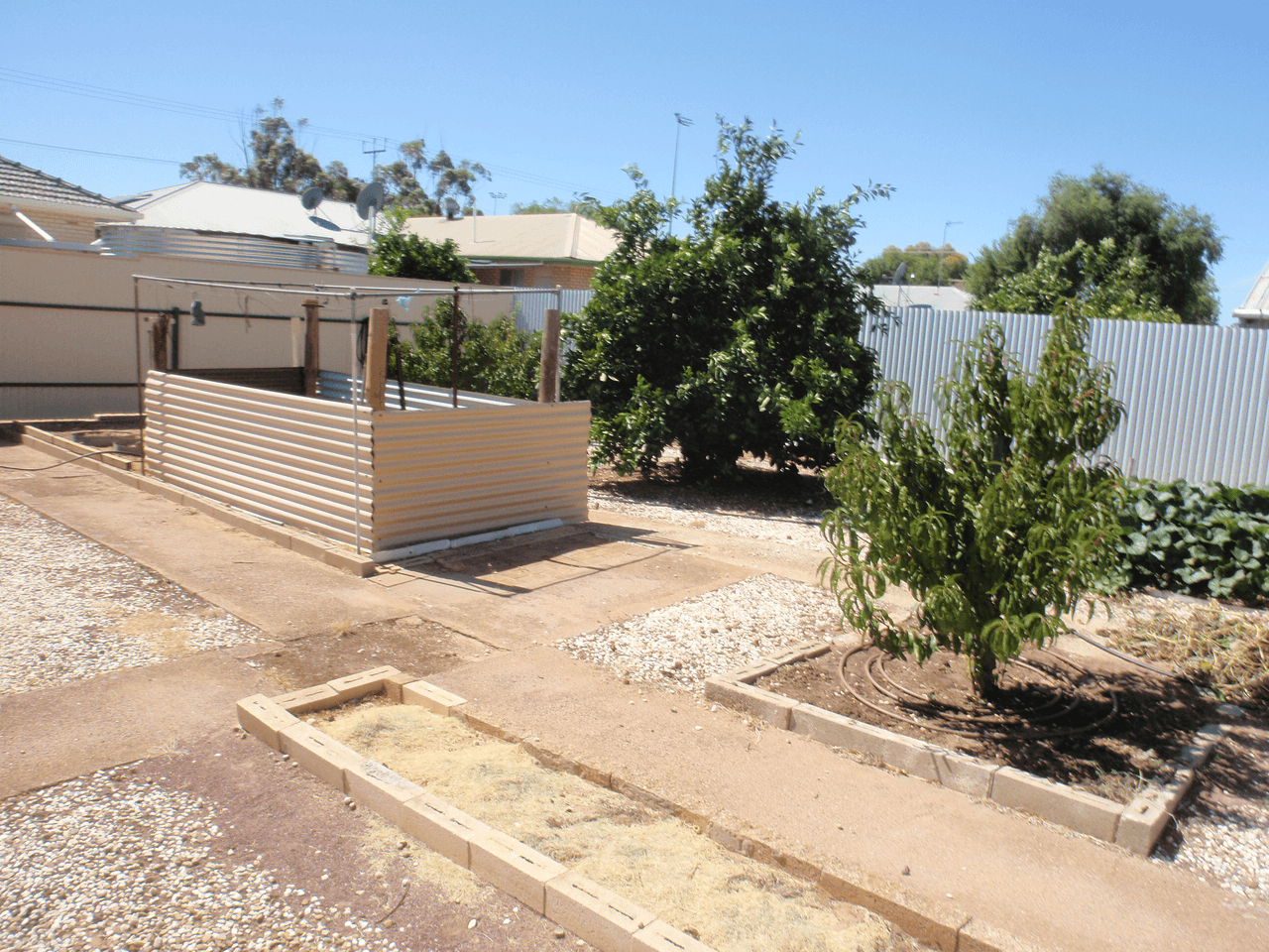 42 Medley Terrace, WUDINNA, SA 5652