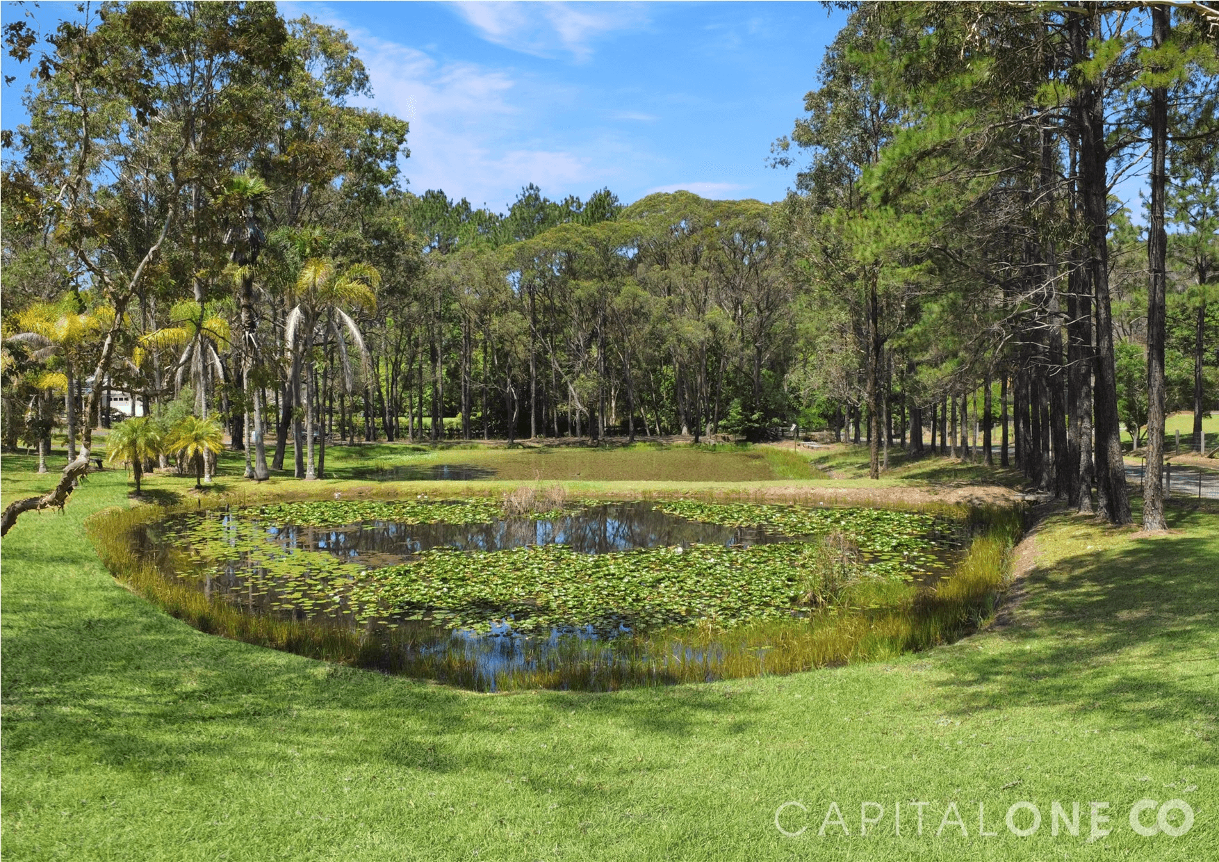 49 Treelands Drive, Jilliby, NSW 2259