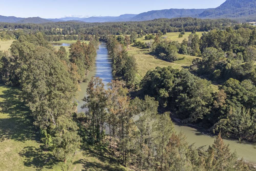 1596 Waterfall Way, BELLINGEN, NSW 2454