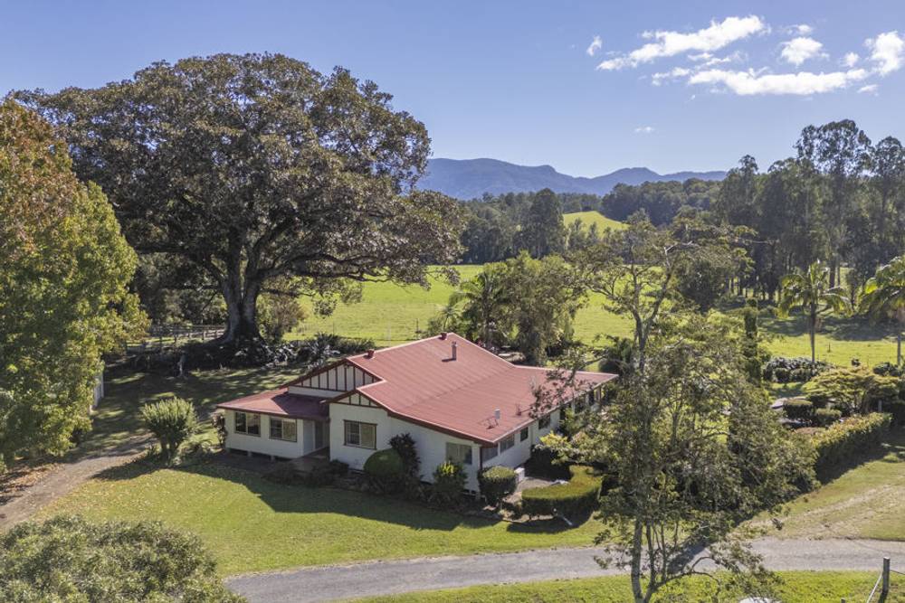 1596 Waterfall Way, BELLINGEN, NSW 2454