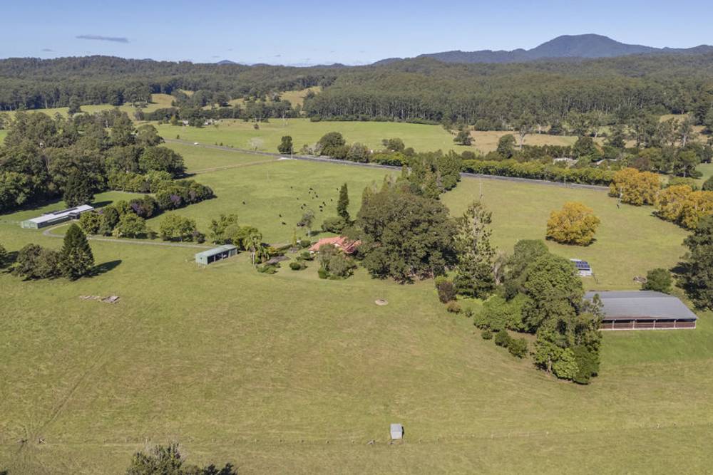 1596 Waterfall Way, BELLINGEN, NSW 2454