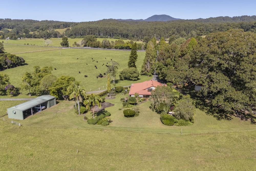 1596 Waterfall Way, BELLINGEN, NSW 2454