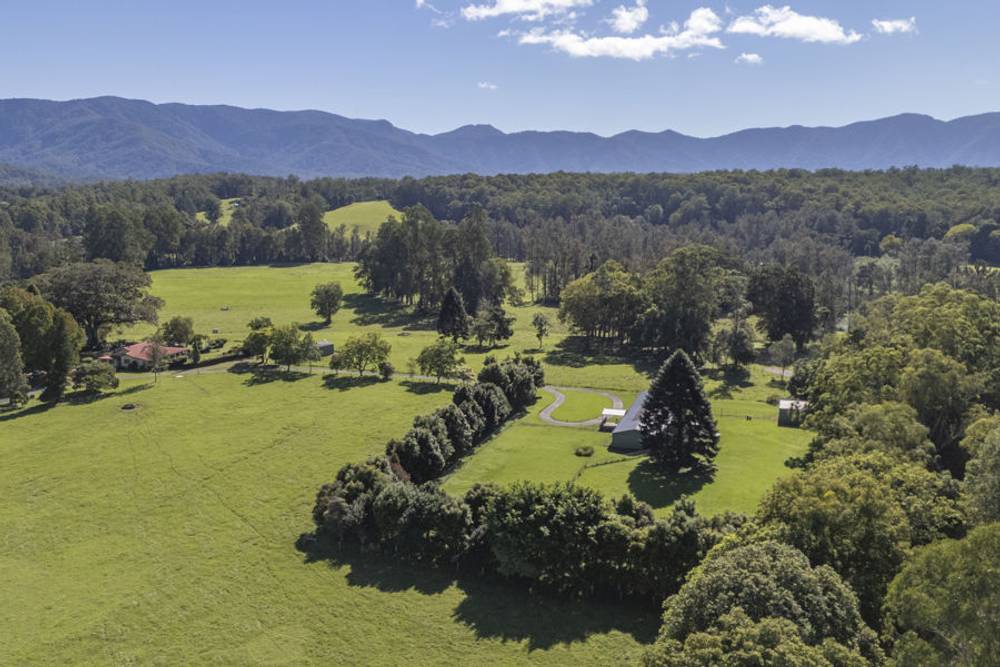 1596 Waterfall Way, BELLINGEN, NSW 2454